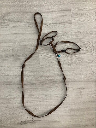 Kedi tasması