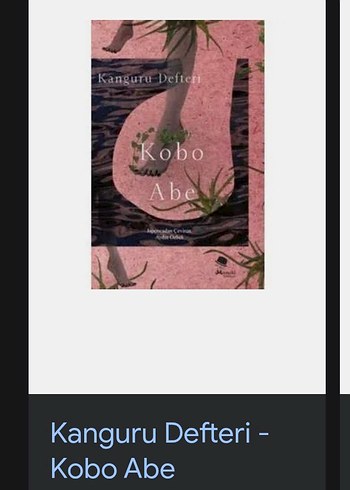 Kanguru Defteri - Kobo Abe - Görsel 5
