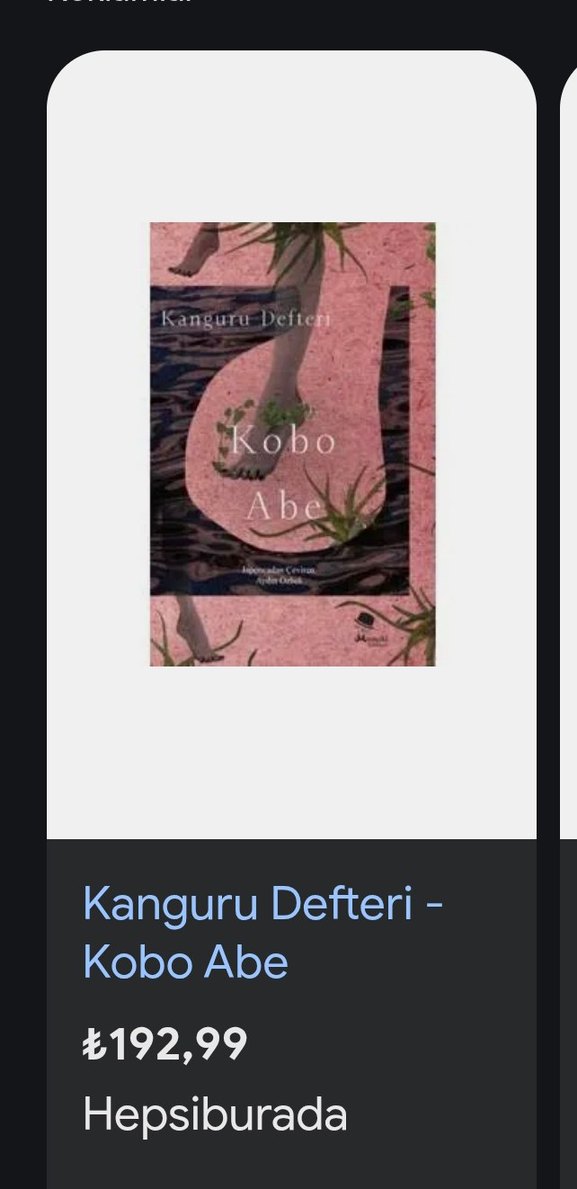 Kanguru Defteri - Kobo Abe - Görsel 5