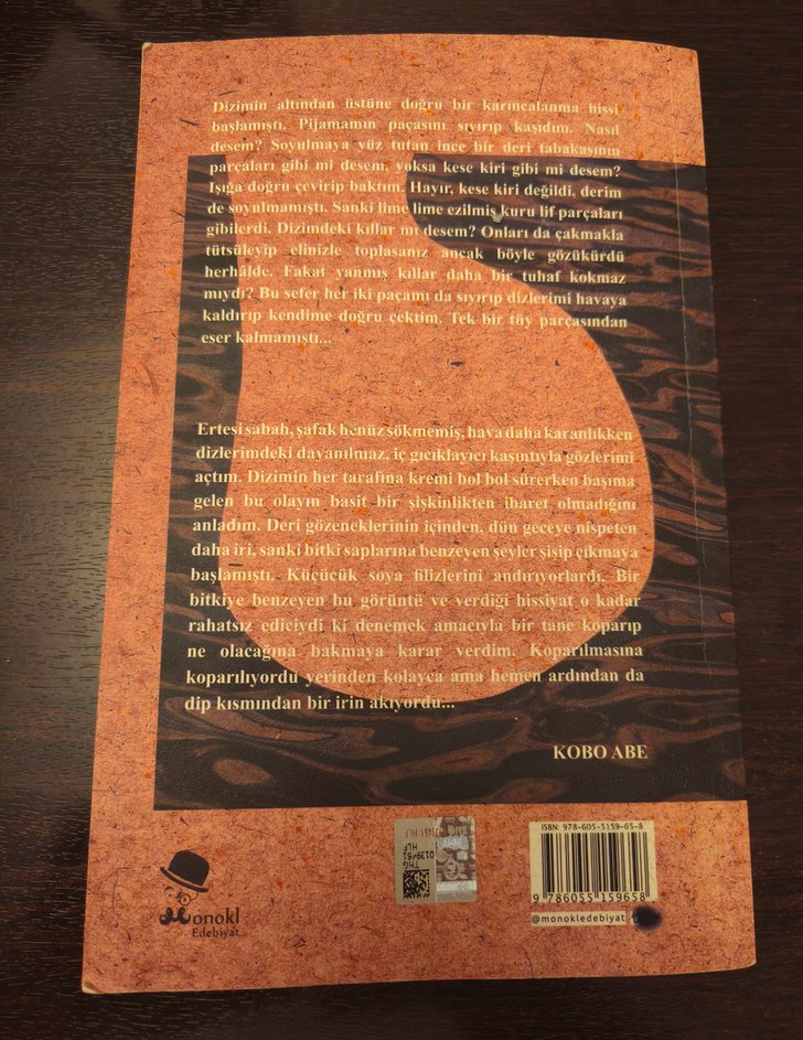 Kanguru Defteri - Kobo Abe - Görsel 2