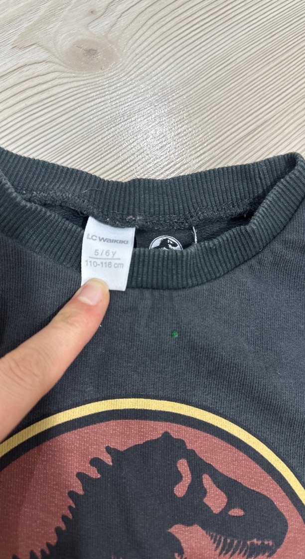 Erkek Çocuk Jurassic Park Baskılı Sweatshirt - Görsel 2