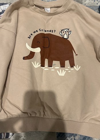 Erkek Çocuk Kahverengi Baskılı Sweatshirt - Görsel 2