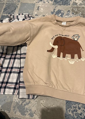 Erkek Çocuk Kahverengi Baskılı Sweatshirt - Görsel 6