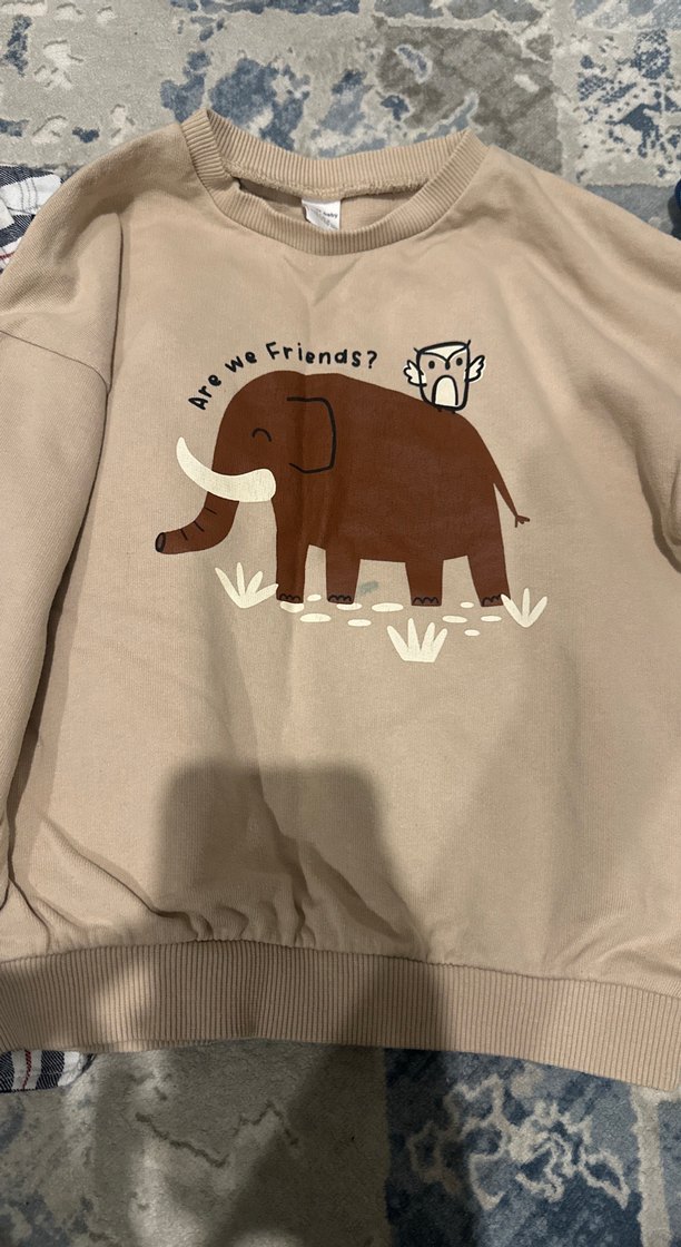 Erkek Çocuk Kahverengi Baskılı Sweatshirt - Görsel 2