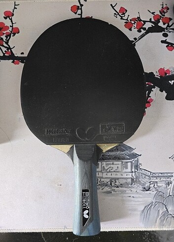 Timo Boll Black Yeni Versiyon
