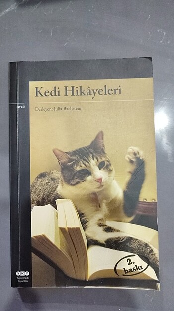 Kedi Hikayeleri 