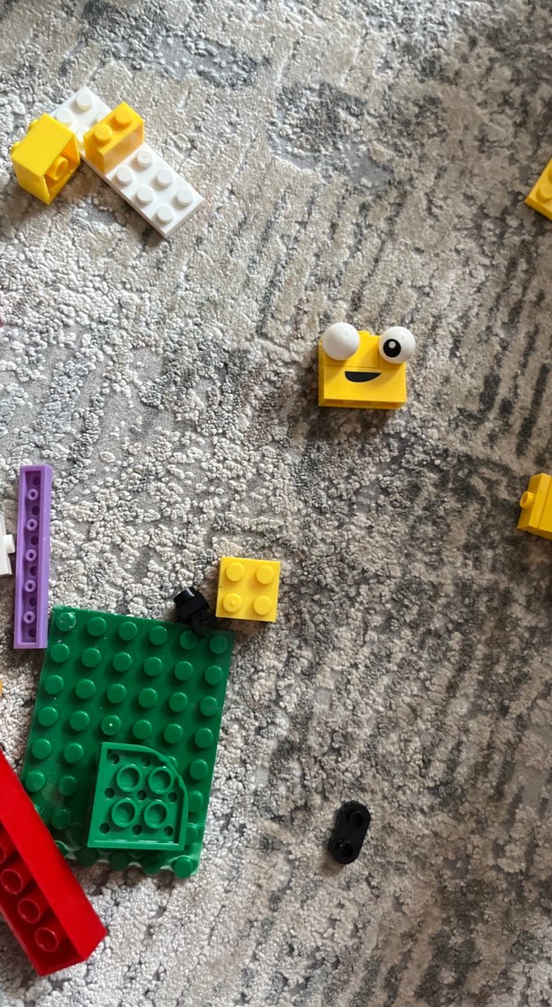 LEGO 70824 Renkli Figür ve Hayvan Seti - Görsel 5