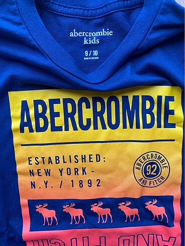 Abercrombie & Fitch Abercrombie Erkek Çocuk T-Shirt