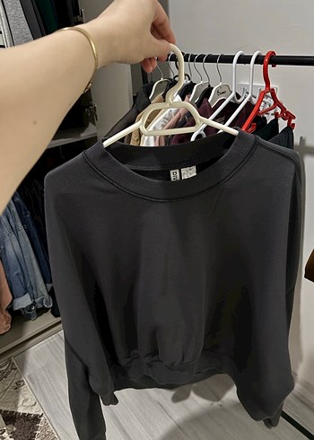 Basic Sweatshirt
