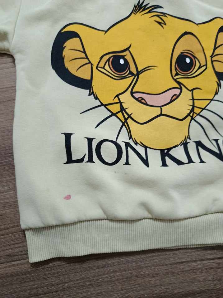 LC Waikiki çocuk kazak - Görsel 2