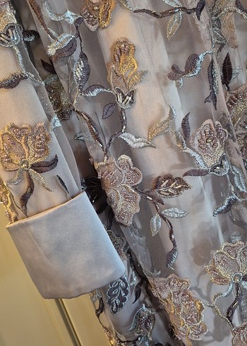 Bej Nakışlı Uzun Kadın Abiye Elbise - Görsel 4