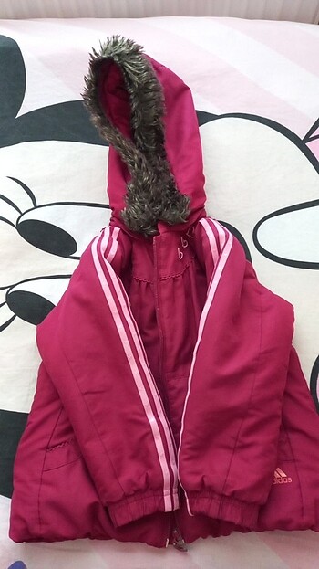 Adidas Montt