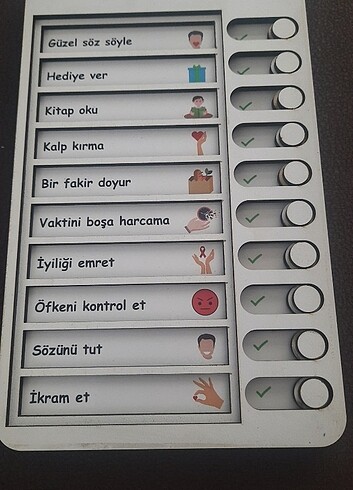 Duzenleyici 