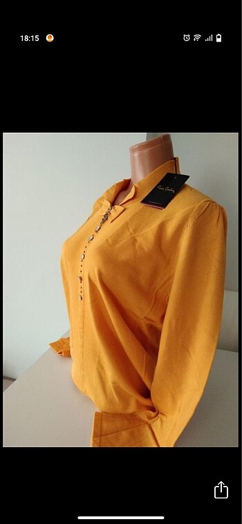 Pierre Cardin Pierre Cardin Büyük beden triko