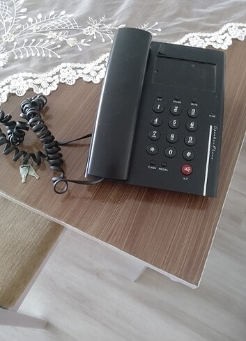 Ev telefonu 