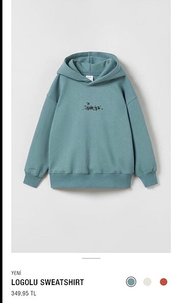 Zara sweatshirt