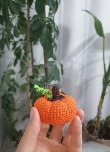  Amigurumi kabak 