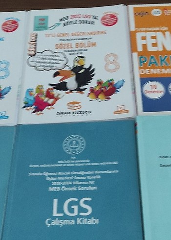 LGS KİTAPLARI