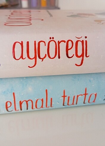 Beden Renk ZEYNEP SAHRA Ayçöreği ve Elmalı Turta