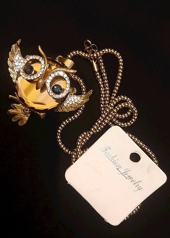 Uzun Zincirli Altın Baykuş Kolye - Görsel 3