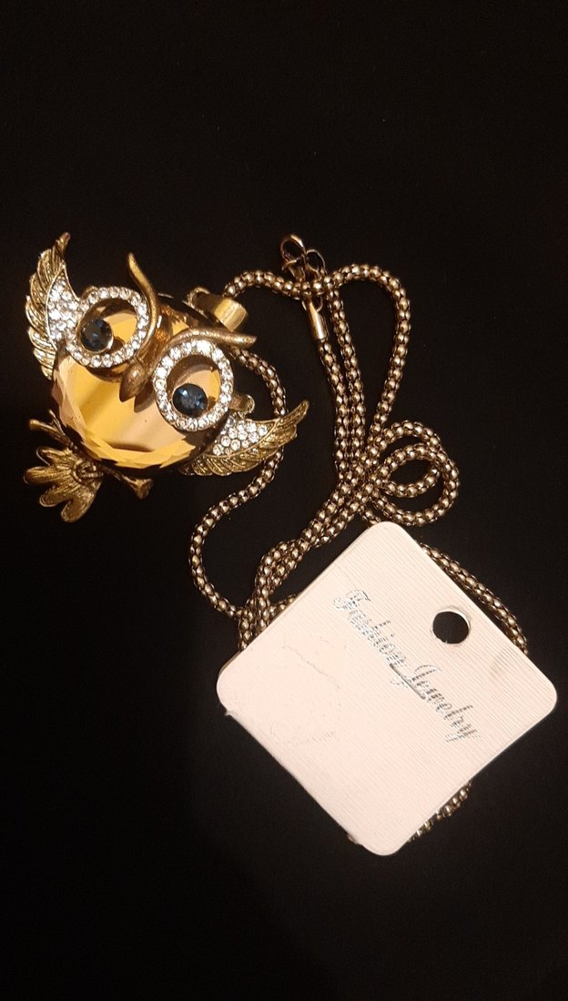 Uzun Zincirli Altın Baykuş Kolye - Görsel 3