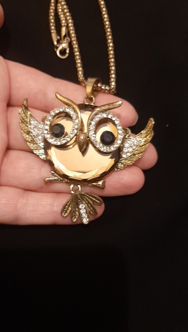 Uzun Zincirli Altın Baykuş Kolye - Görsel 2