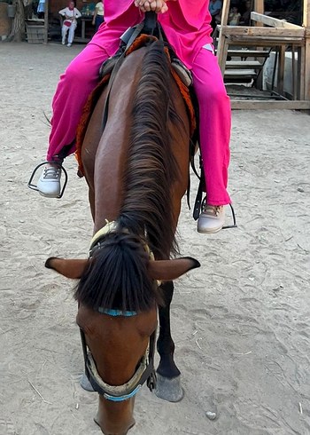 Pembe kimono takım - Görsel 2