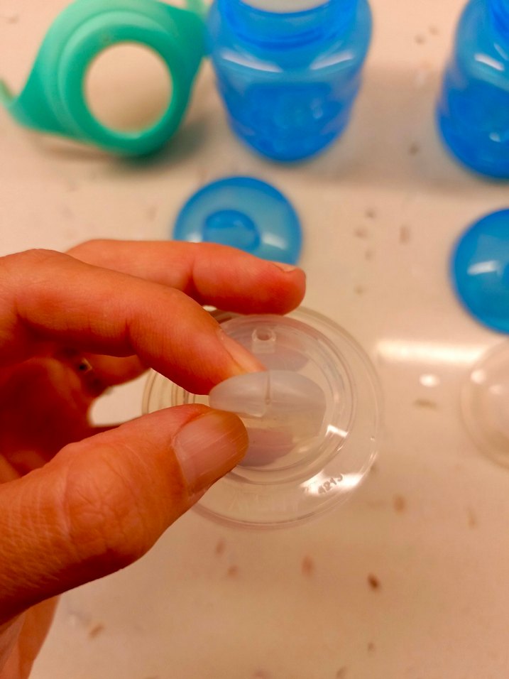 Philips Avent Mavi Bebek Sulukları 2 li - Görsel 5