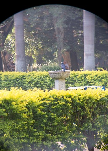 Profesyonel Dürbün | Ultra Net Cam Mercek | Alev Su Geçirmez - Görsel 9