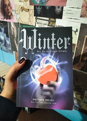 Bir ay günlüğü kitabı (Winter) 