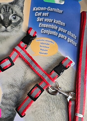 Kedi fosforlu bel tasması