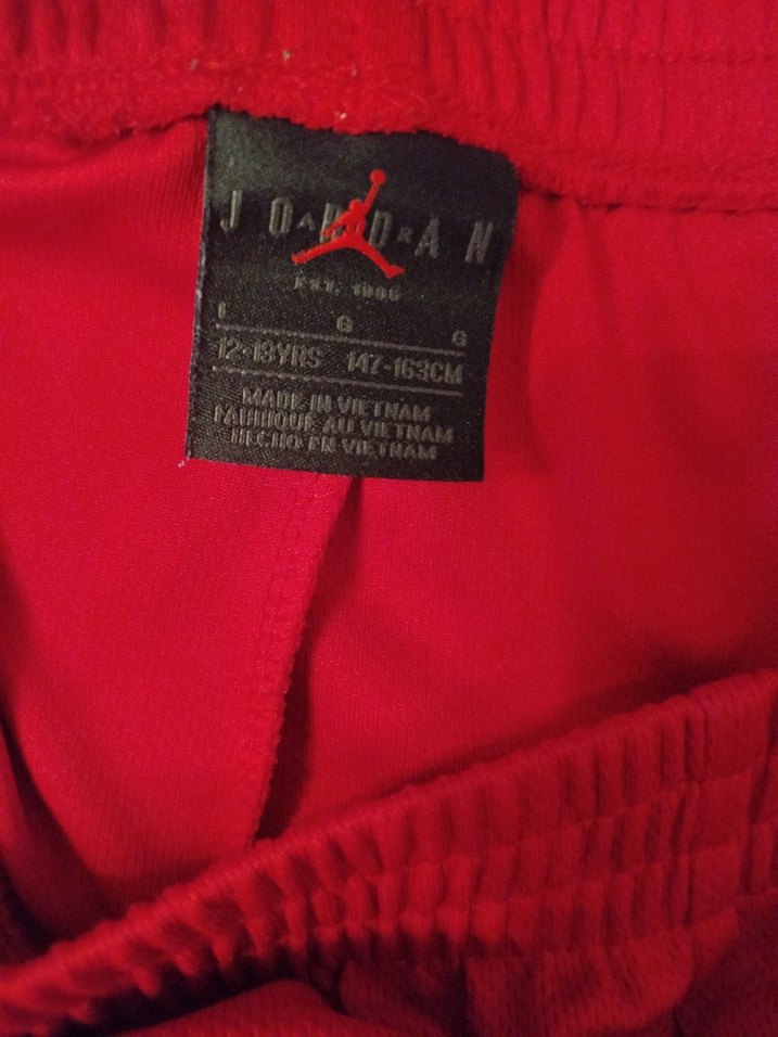 Nike Kırmızı Rahat Kesim Erkek Şort - Görsel 2