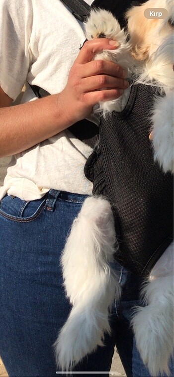 Colins jean - Görsel 2