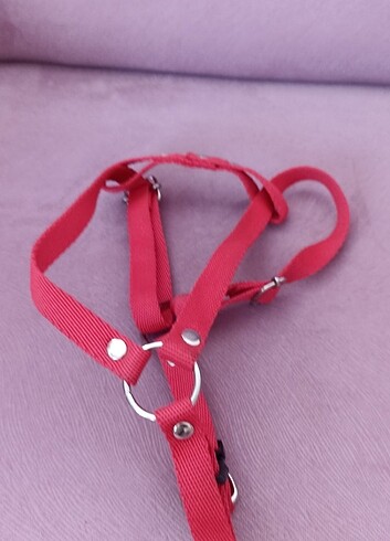 Köprk tasma - Görsel 6