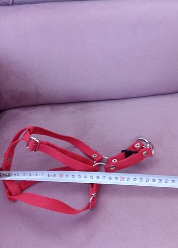 Köprk tasma - Görsel 8