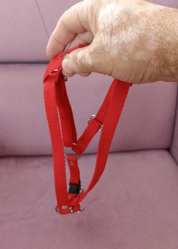 Köprk tasma - Görsel 2