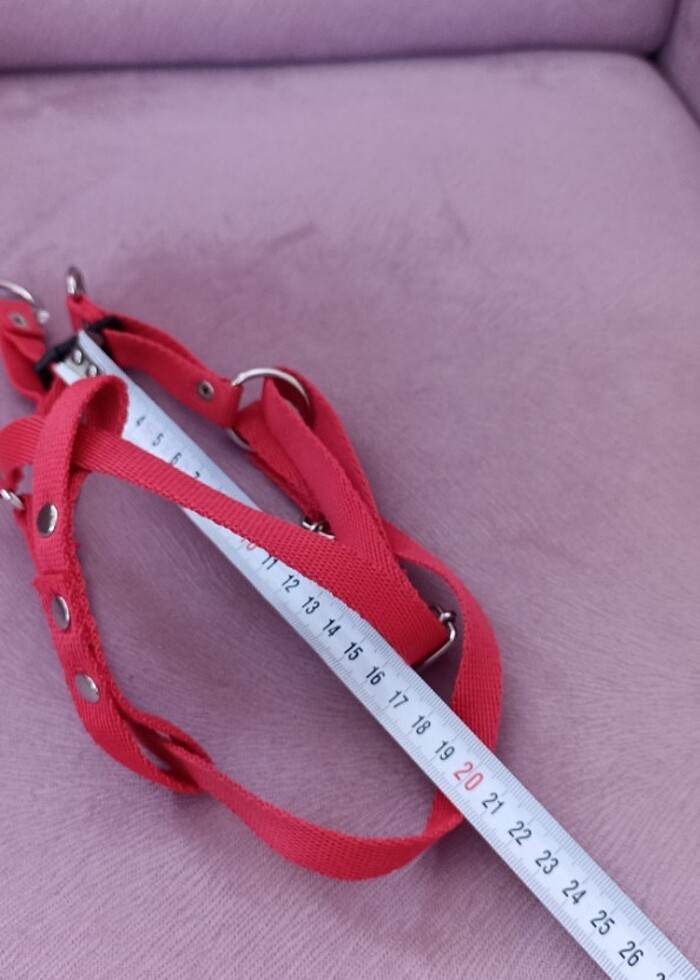 Köprk tasma - Görsel 4