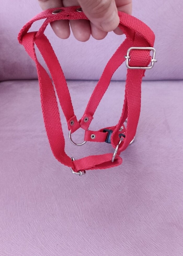 Köprk tasma - Görsel 5