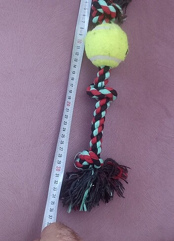 Köpek diş oyunu halat - Görsel 3