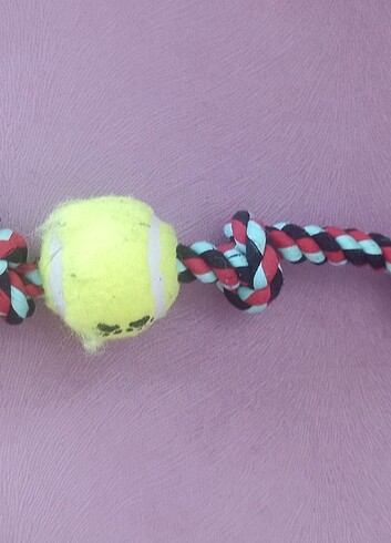 Köpek diş oyunu halat - Görsel 4