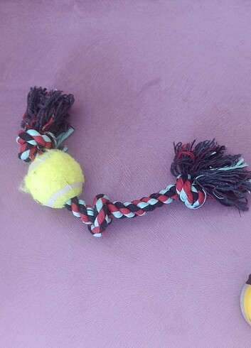 Köpek diş oyunu halat - Görsel 5