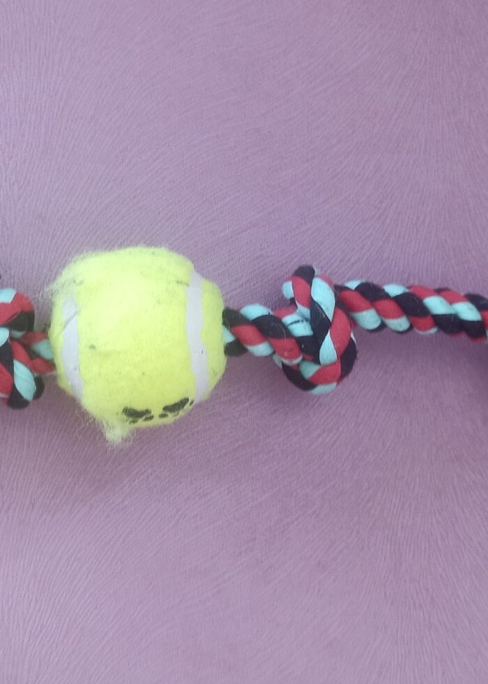 Köpek diş oyunu halat  - Görsel 4