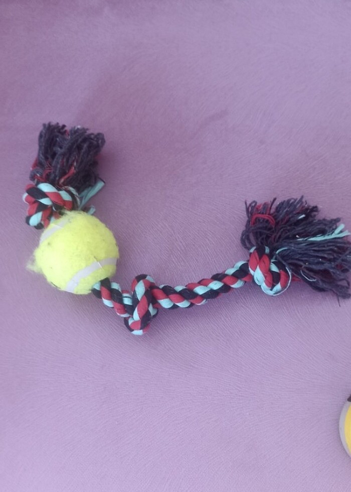 Köpek diş oyunu halat  - Görsel 5