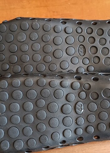 Deniz ayakabısı - Görsel 2