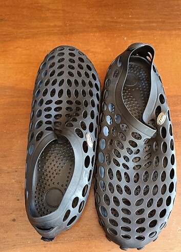 Deniz ayakabısı - Görsel 3