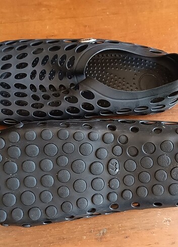 Deniz ayakabısı - Görsel 6