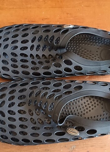 Deniz ayakabısı - Görsel 8