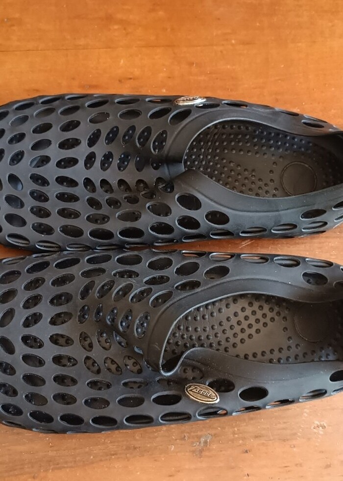 Deniz ayakabısı - Görsel 5