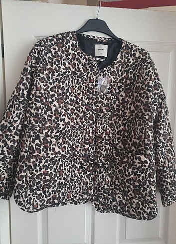 LEOPAR MONT