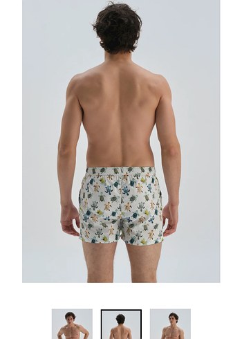 DAGİ EKRU MICRO KISA CARETTA DES. DENİZ ŞORTU - Görsel 3